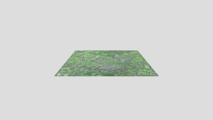 gras 3D Model