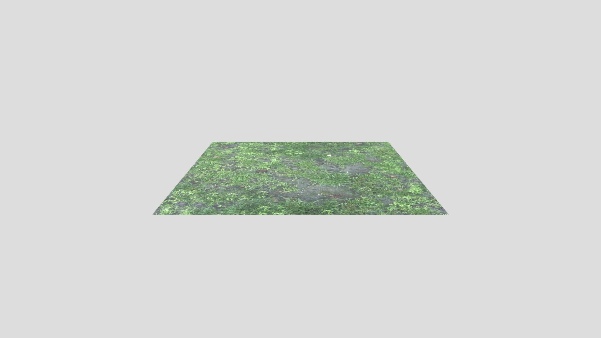 gras