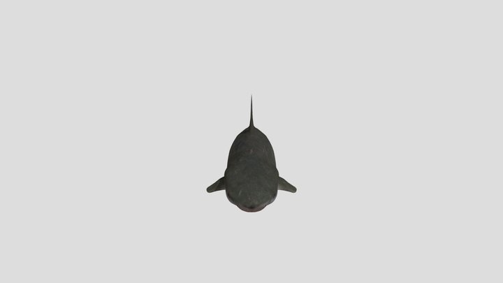SharkBite 2's bull shark – Modèle 3D gratuit STL