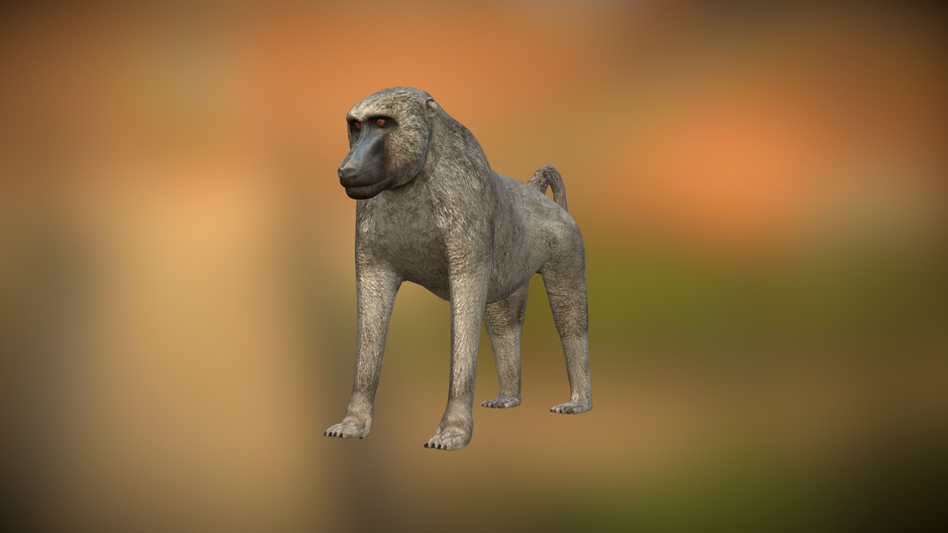 3D model Baboon - This is a 3D model of the Baboon. The 3D model is about a small grey dog.