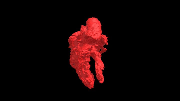 Blood_volume 3D models - Sketchfab