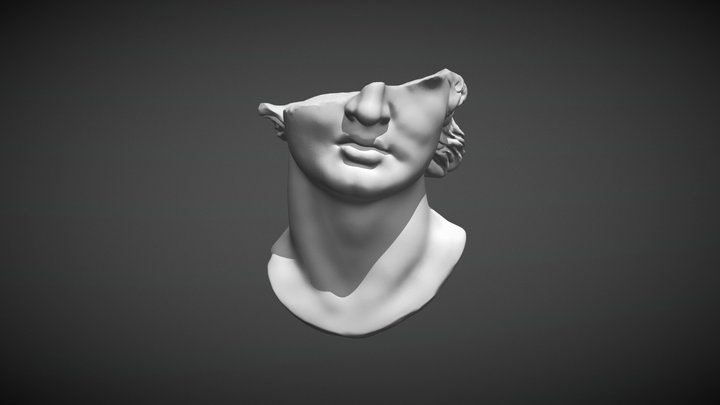 Colossal head of a youth 3D Model