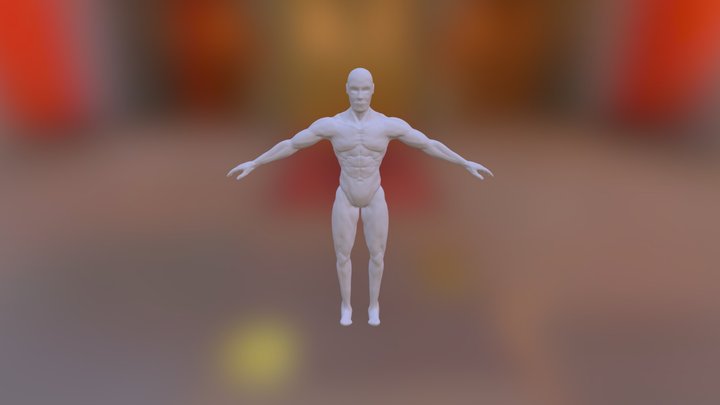 Male Anatomy ZRemesh Compressed. 3D Model