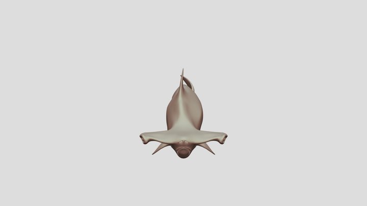 shark_retry01 3D Model