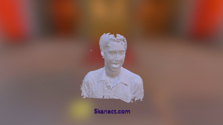 Carter Half-Face Test 3D Model
