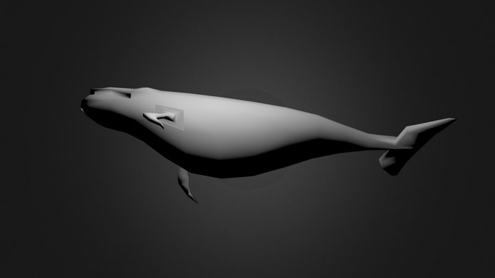 baleine.blend 3D Model