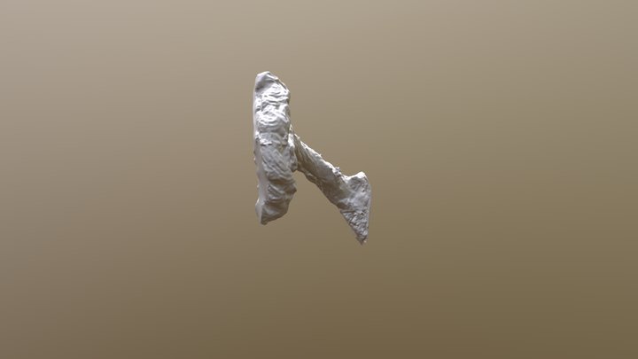 Chateophractus villosus Modelo576AZBRUSH 3D Model