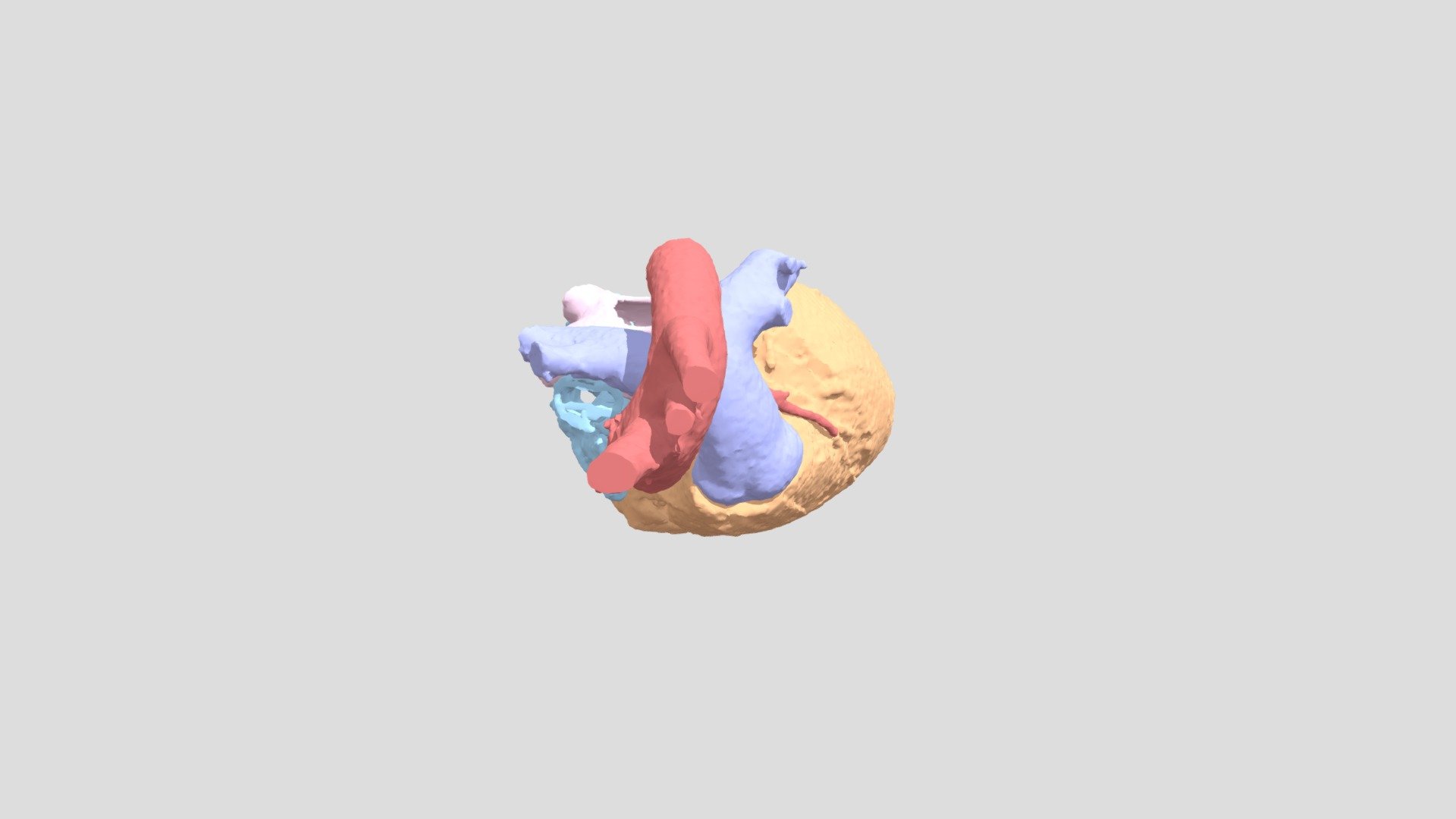 RKRM1RALAWIN - Download Free 3D model by Ram Rohatgi (@ramrohatgi ...