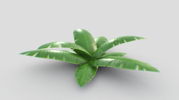 Tropical Plant bush – Modello 3D gratuito STL