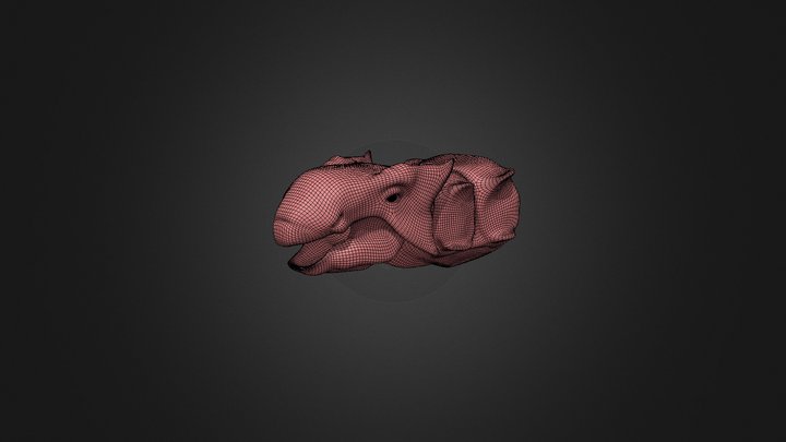 Ankylosaurus Bust 3D Model