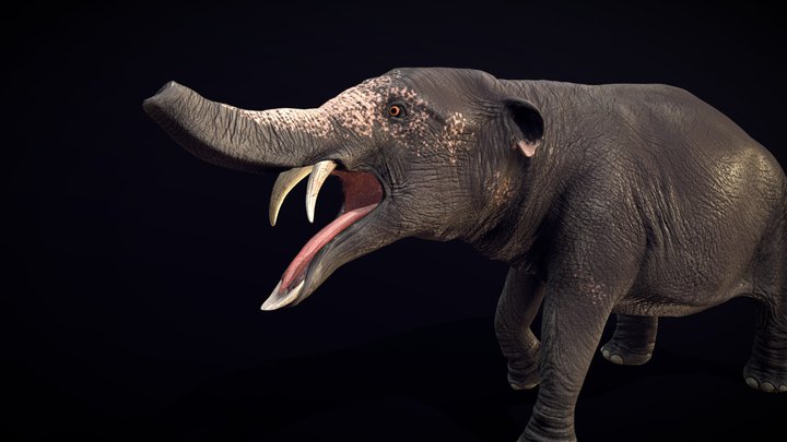 Phiomia 3D Model