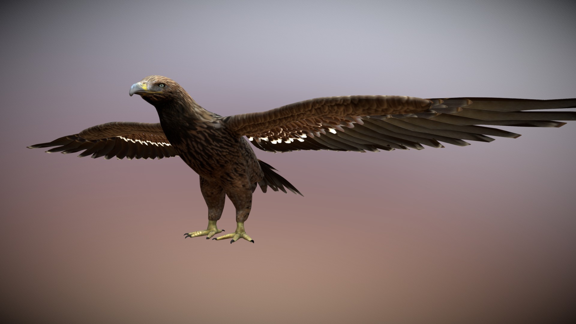 3D model Imperial Eagle - This is a 3D model of the Imperial Eagle. The 3D model is about a bird with its wings spread.