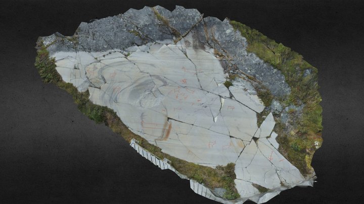 Alta Rock Art: Bergbukten 2 3D Model