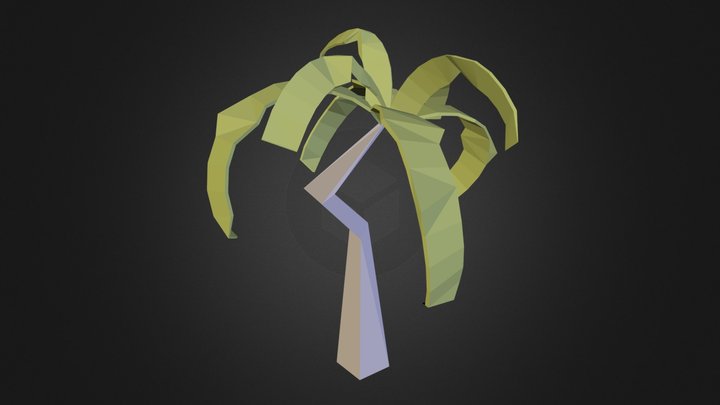 Palm Tree 3D Model