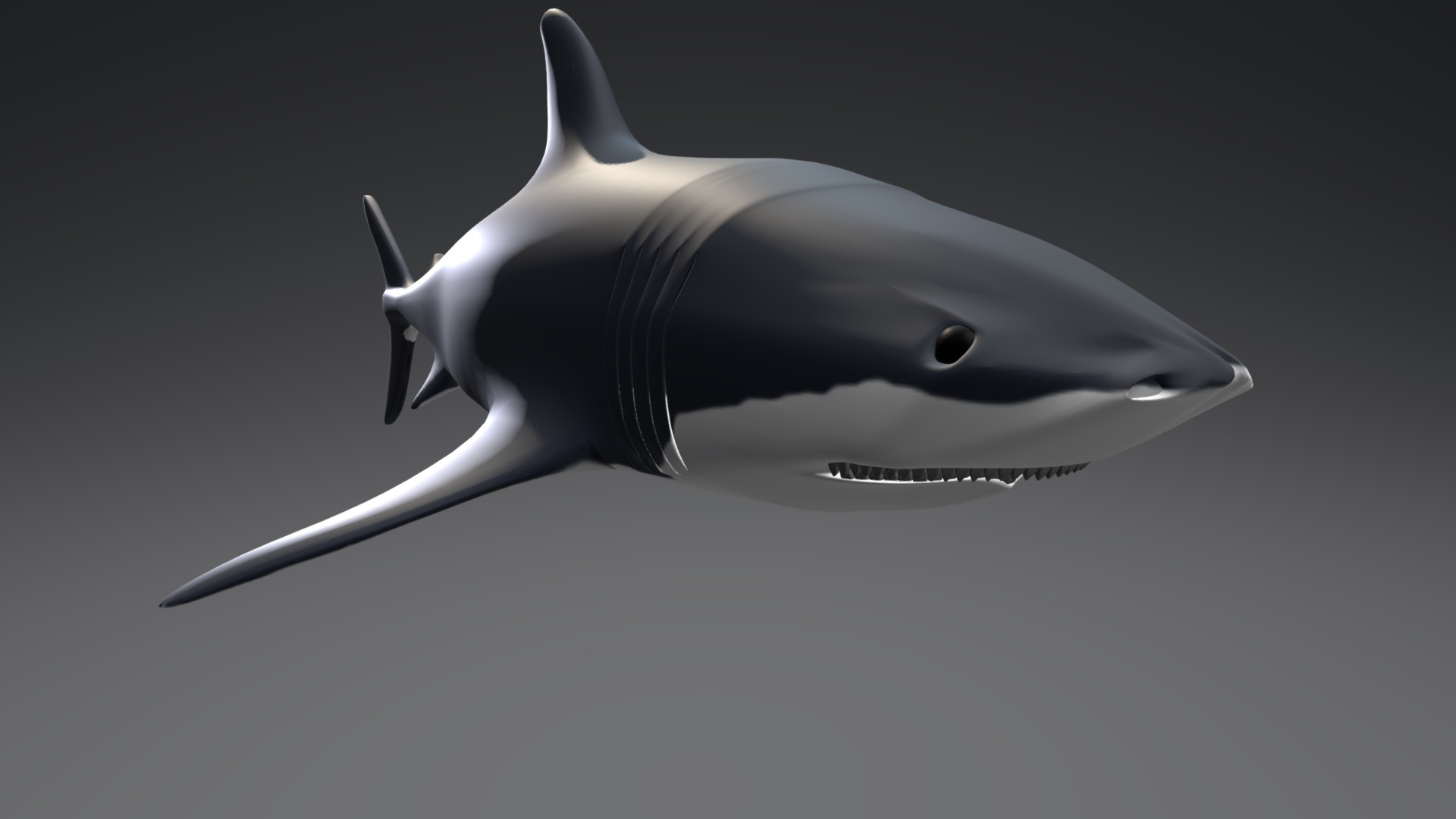 3D model shark - This is a 3D model of the shark. The 3D model is about a shark swimming underwater.