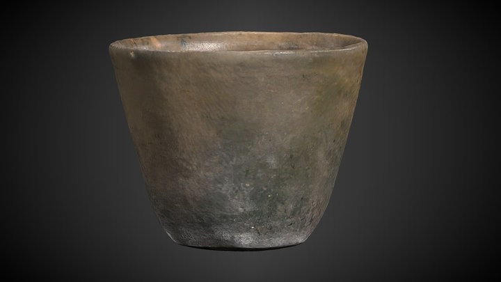 Vaso sonaja 3D Model