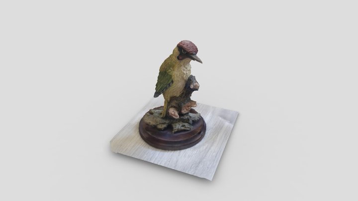 Kingfisher 3D Model