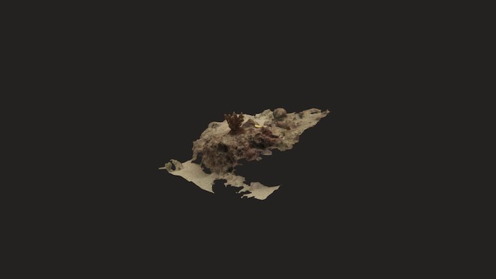 Qatar Nov2016 TAG 398 1 2 3 trim 3d Mesh 3D Model