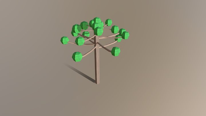 Araucaria 3D Model