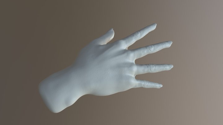 Realistic Hand Model 3D Model