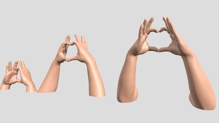 HUMAN HEART HAND 3D Model