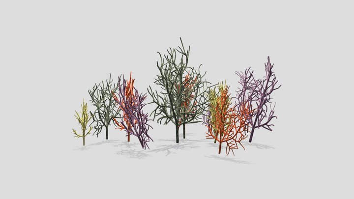 Fan Coral Med 3D Model