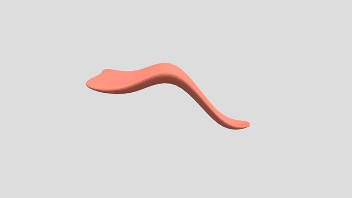 Tongue 3D Model
