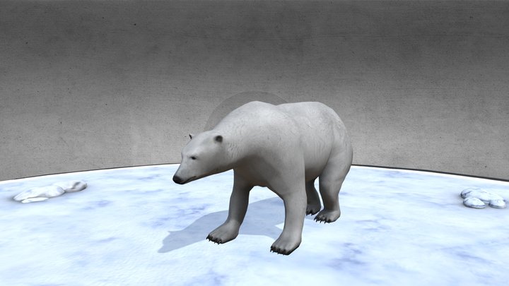 Polar Bear-Lowpoly 3D Model