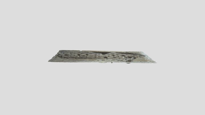 Peterborough decorated fragment 2 3D Model