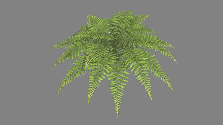 Low Poly Fern – Modello 3D gratuito STL