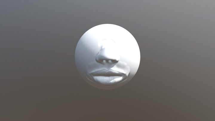 Mouth & Nose 3D Model