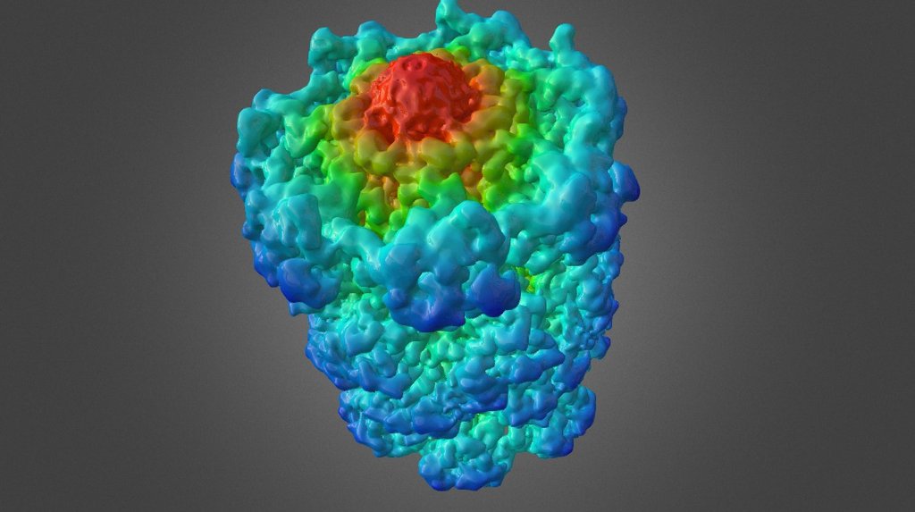 T20S proteasome at 2.8 Angstrom - eLife (2015) - 3D model by ...