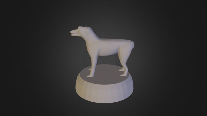 Canine Test 3D Model
