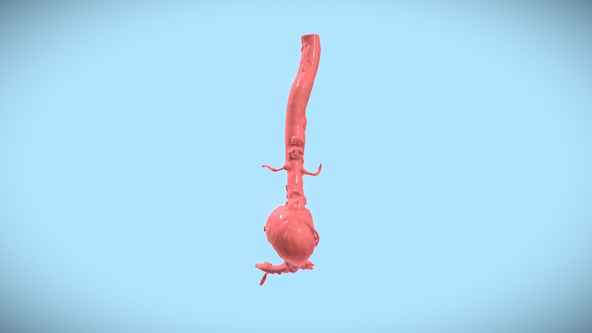 AAA Model