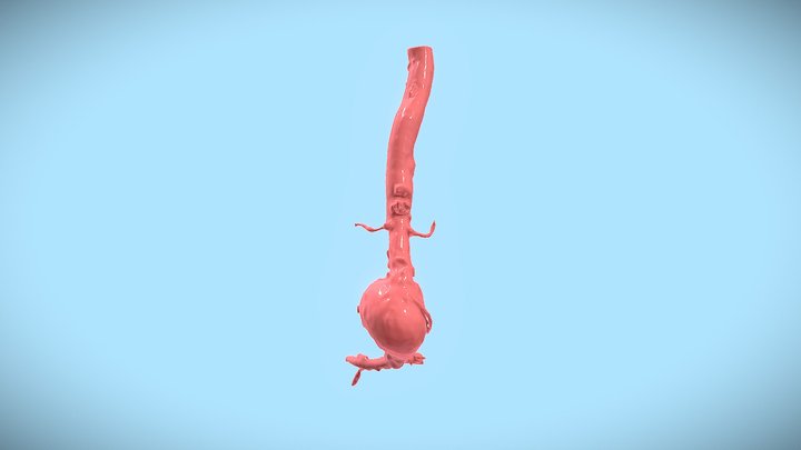 AAA Model 3D Model