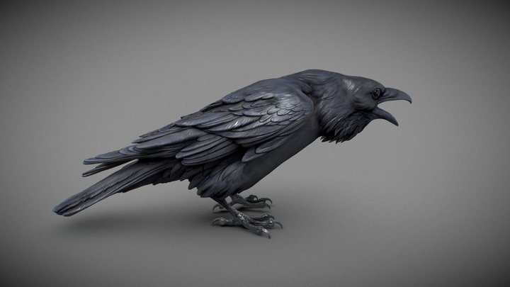 Teen titans stylized Raven rigged 3D model rigged