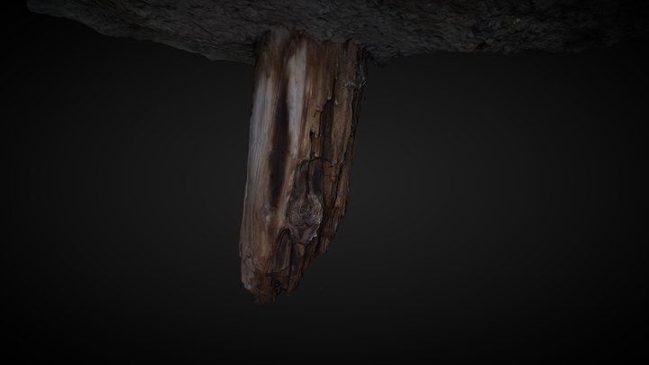 Estaca 3D Model