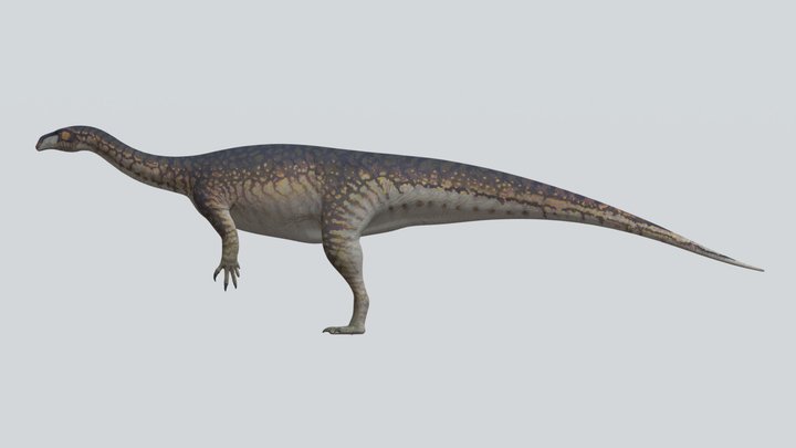 Accurate Plateosaurus gracilis – Free 3D Model STL