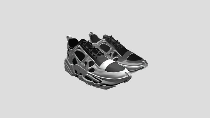 Futuristic Shoes 3D Model