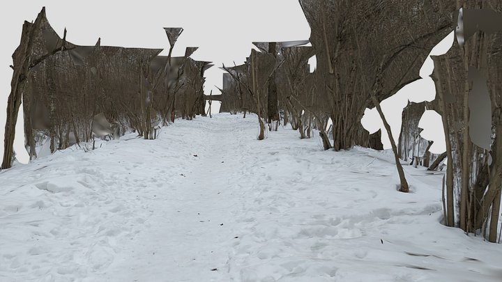 Forest trail – Gratis 3D-model STL