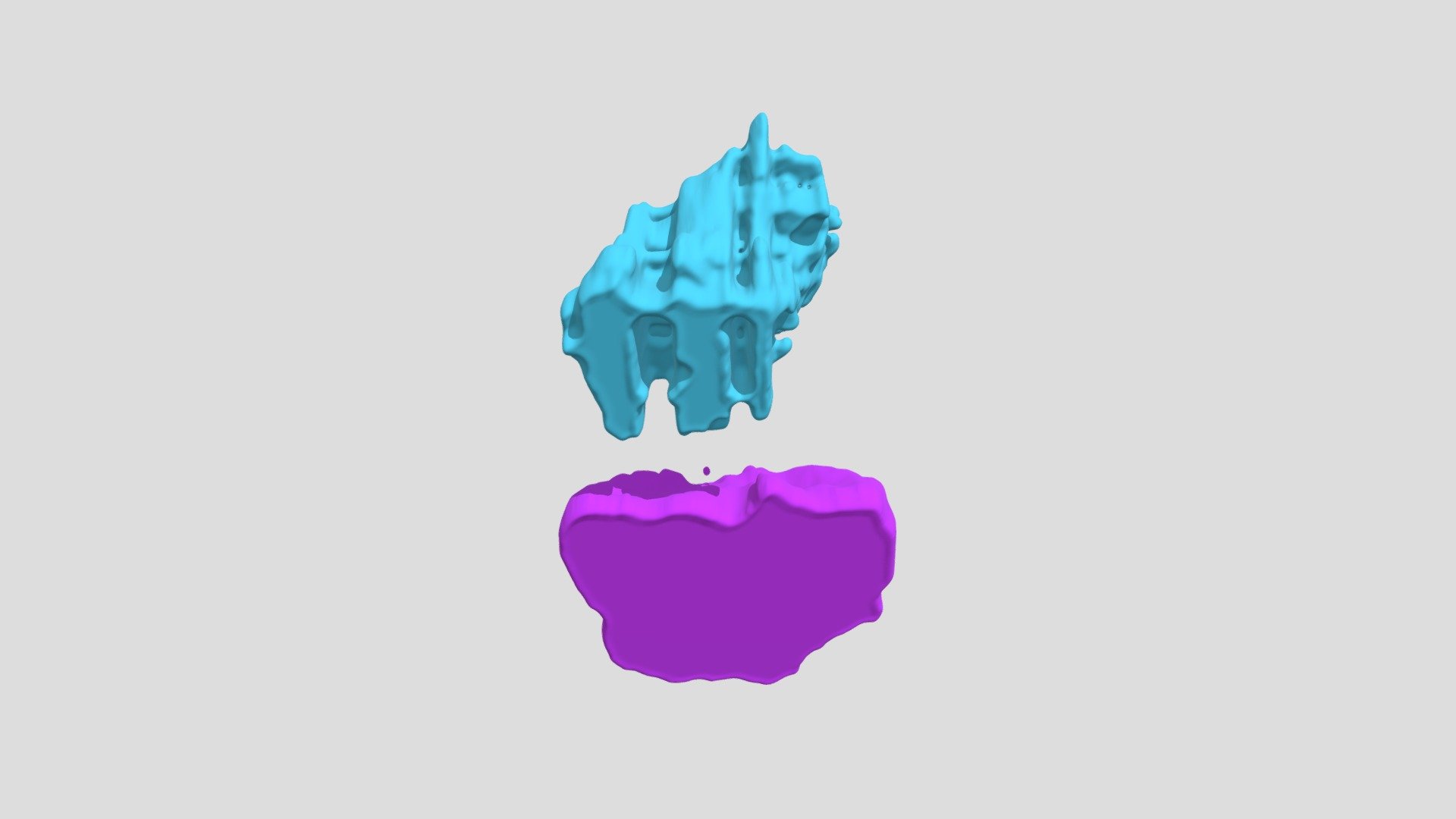 Bladder and Rectum Segmentation
