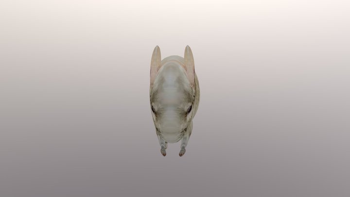 model_926949836601 3D Model