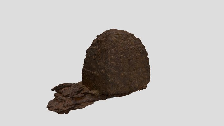 冑 3D Model