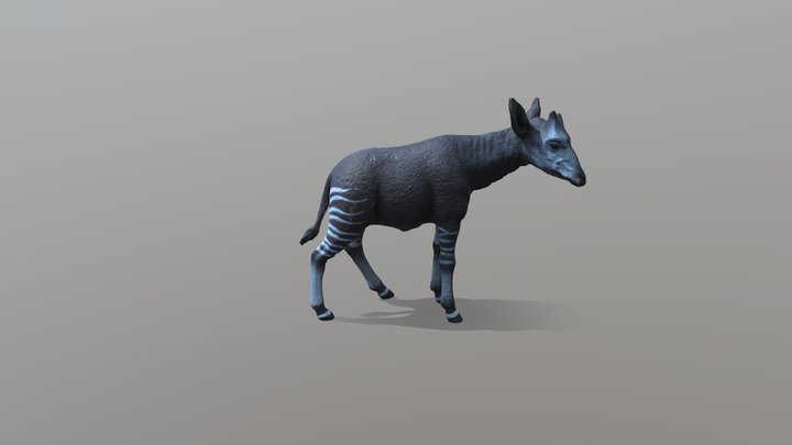Okapi 3D Model