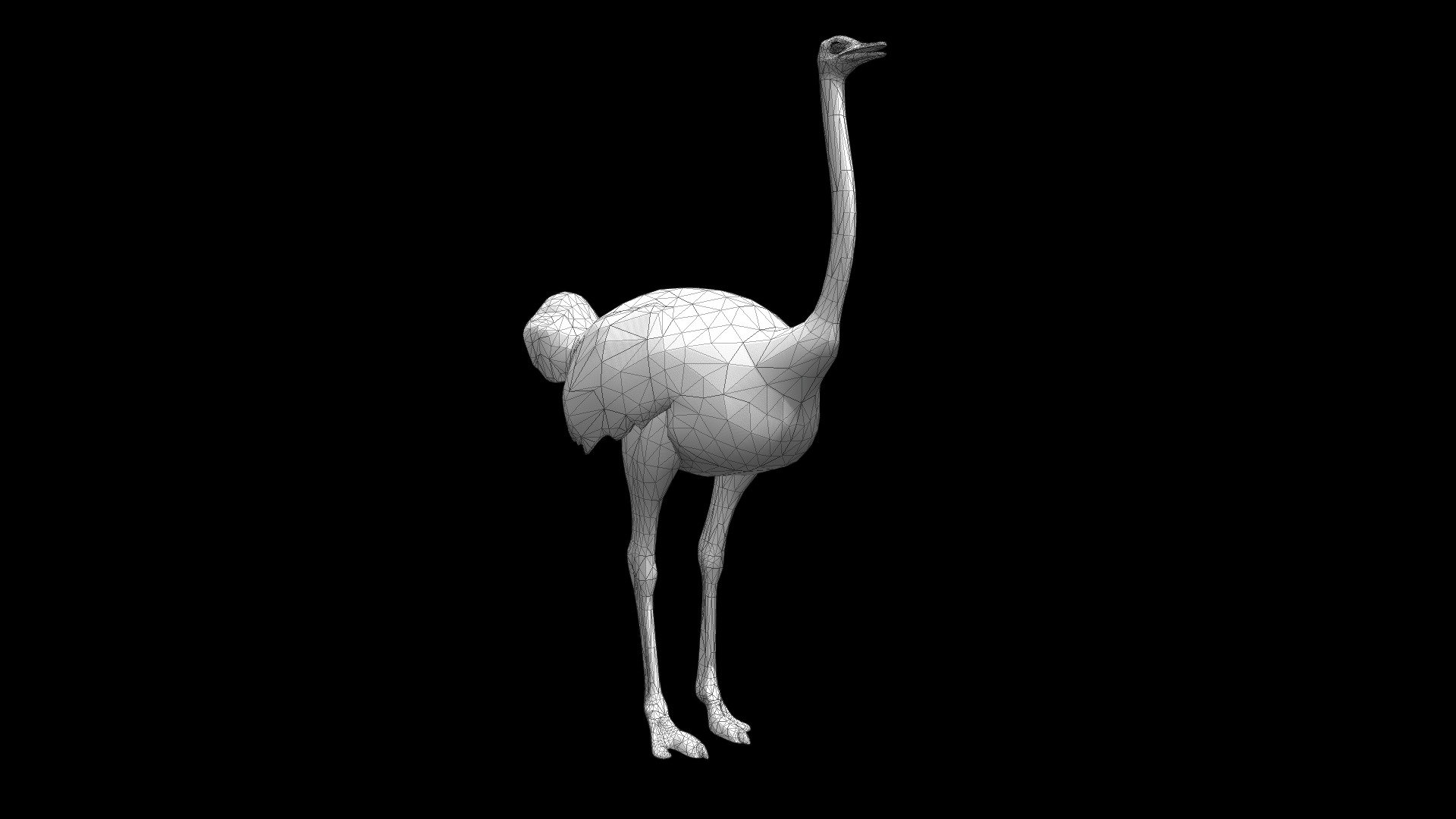 OSTRICH LOWPOLY - Buy Royalty Free 3D model by DTA DESIGN STUDIO ...