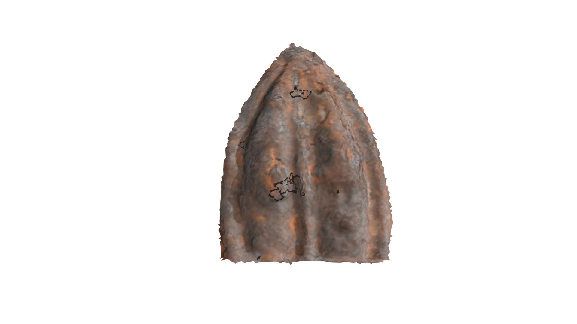 C18 - aurochs MNIR