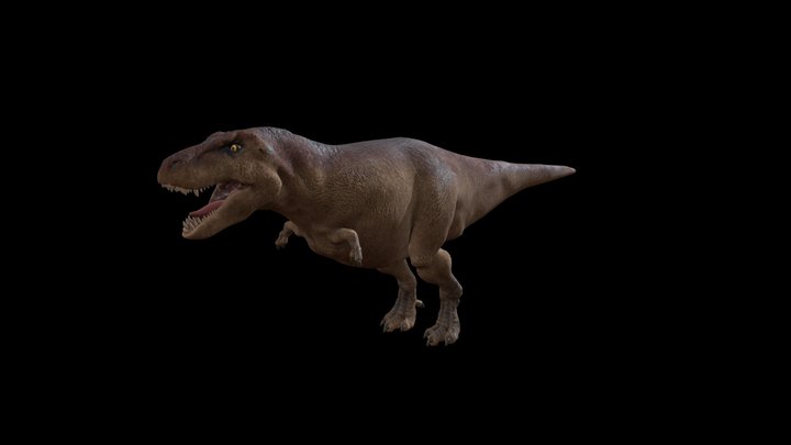 vrex_sketchfab_test 3D Model
