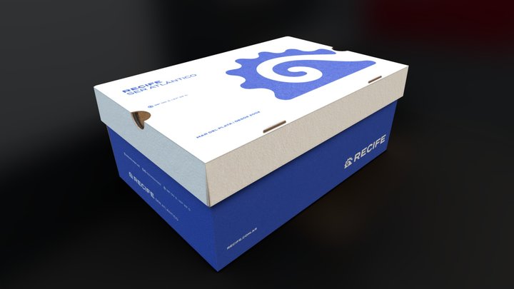 Recife Packaging 3D Model