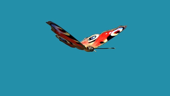 farfalla 3D Model