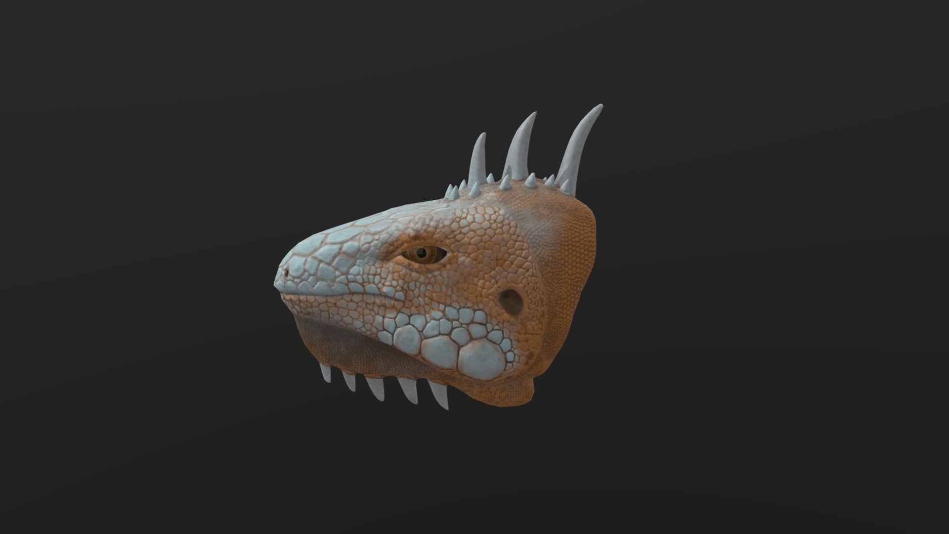 Iguana